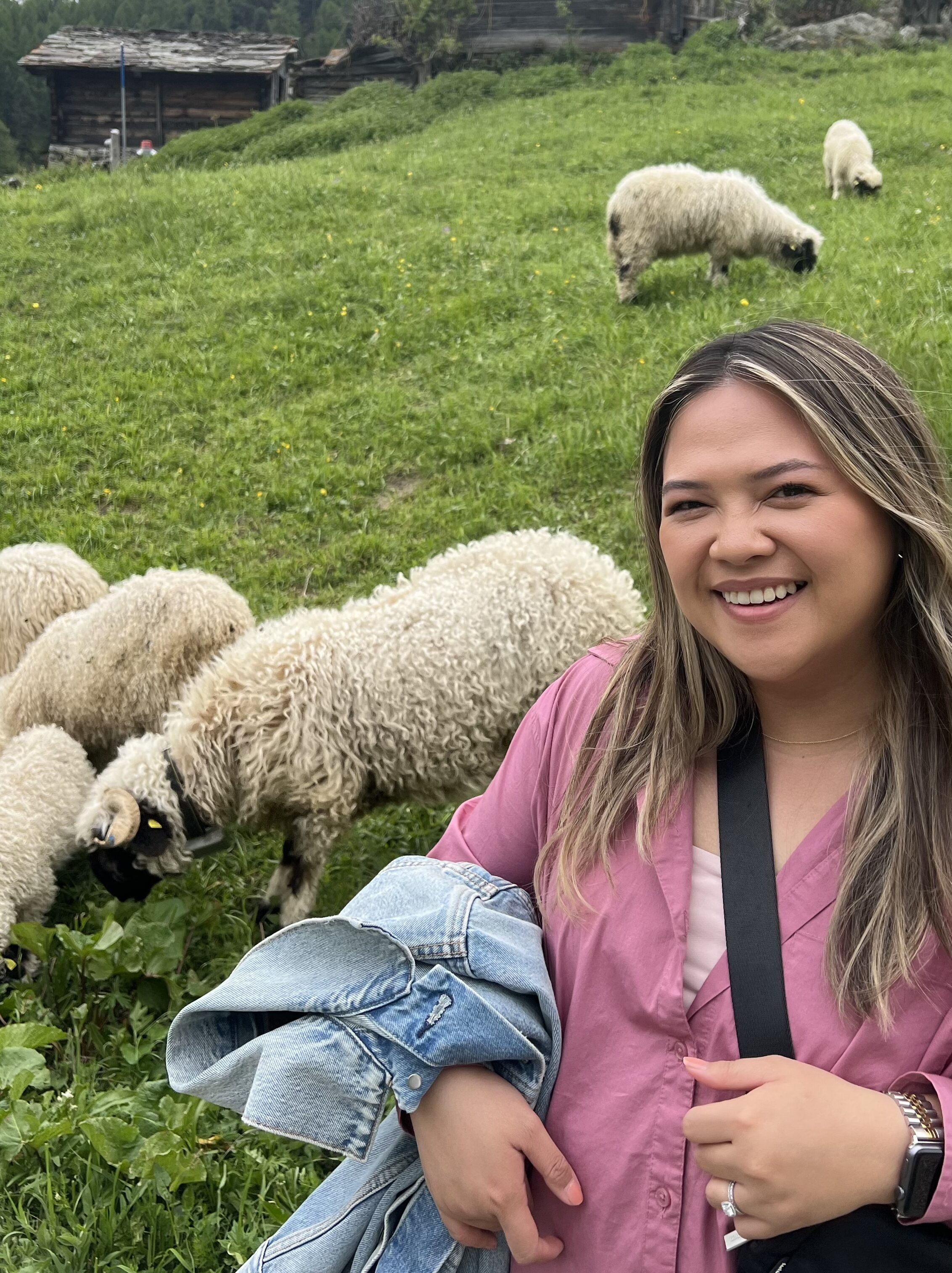 Europe Trip: Switzerland, Sheep on the hike!